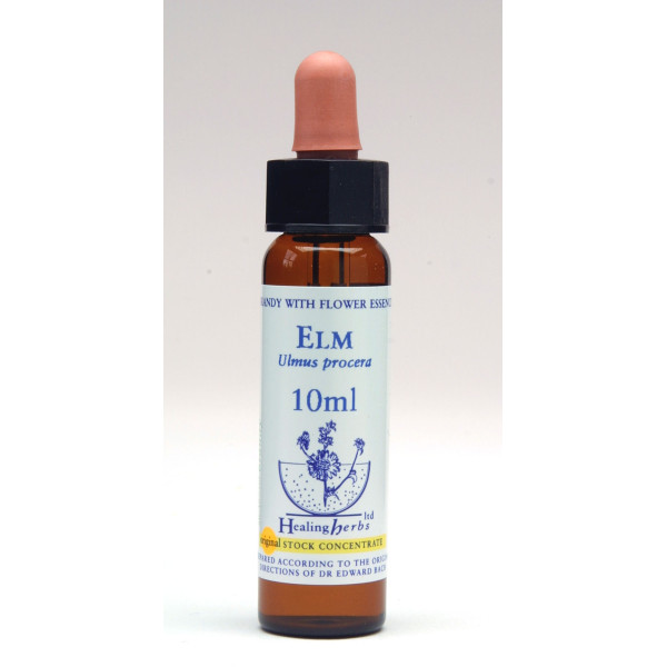 Elm 10ml