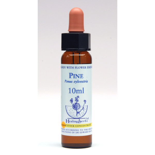 Pine 10ml