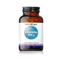 L - Carnitine | Λ - Καρνιτίνη 500mg | 60caps