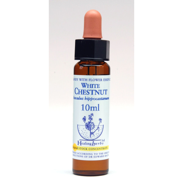 White Chestnut