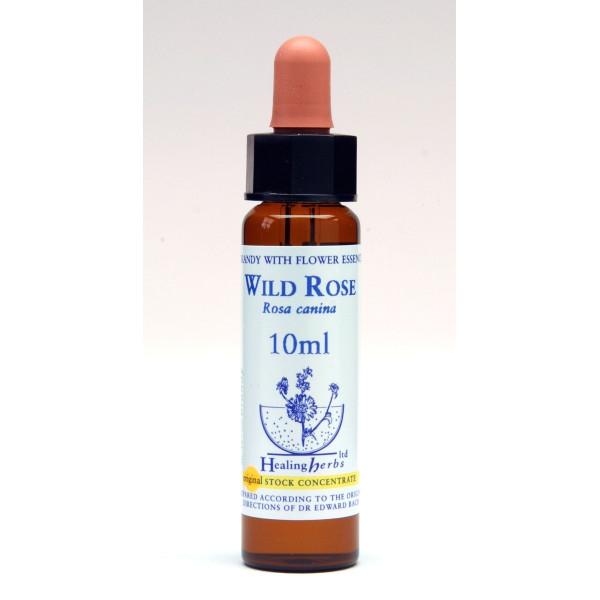 Wild Rose