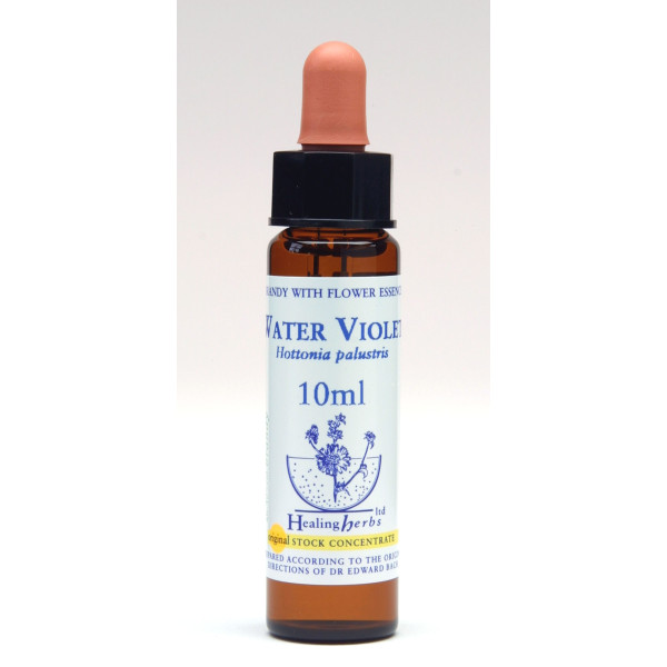 Water Violet