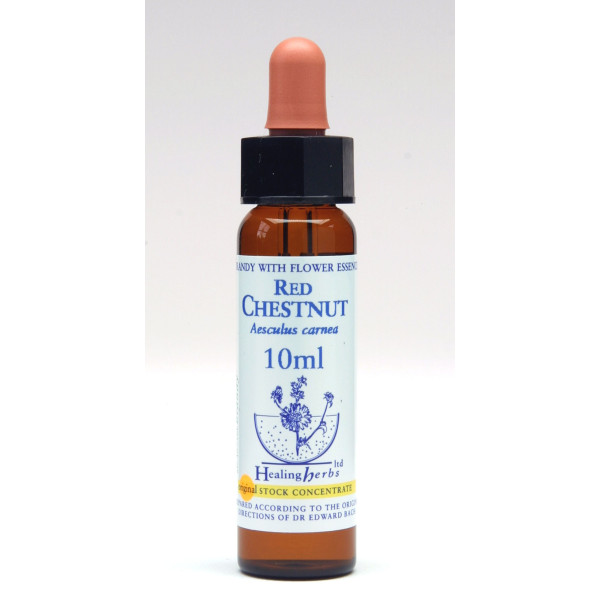 Red Chestnut 10ml