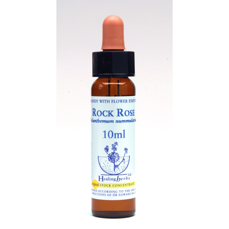 Rock Rose