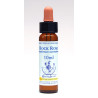Rock Rose