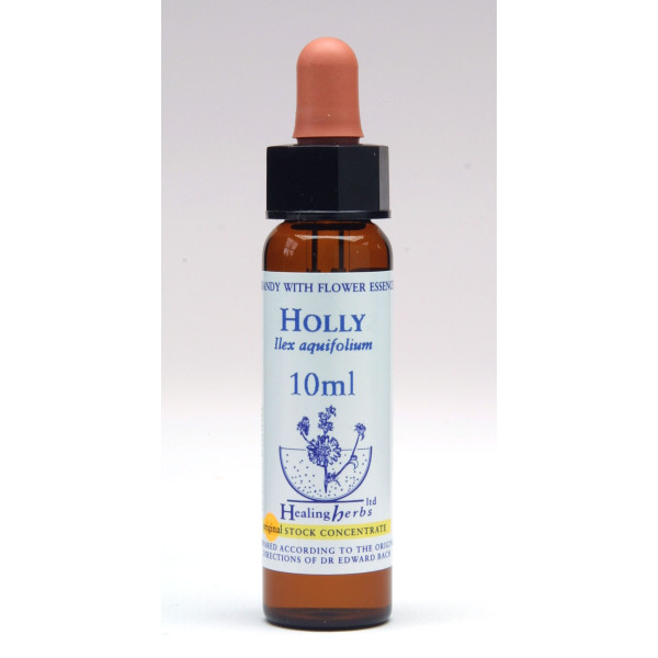 Holly