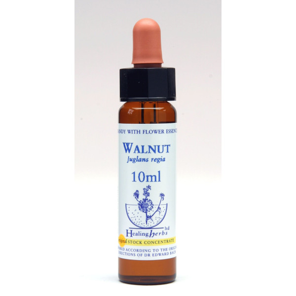 Walnut