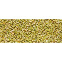 Βιολογικό Αιθέριο Έλαιο Μάραθος | Fennel Globulus Essential Oil Org. | 10ml
