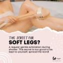 Βούρτσα σώματος με φυσική τρίχα | Natural Bristle Body Brush (soft)