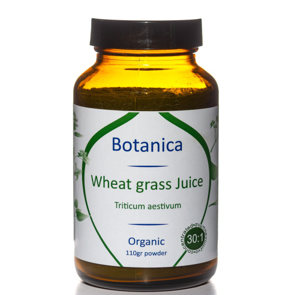 Βιολογικός Χύμος Σιταρόχορτου Σκόνη | Wheatgrass juice powder organic 110gr | 30:1