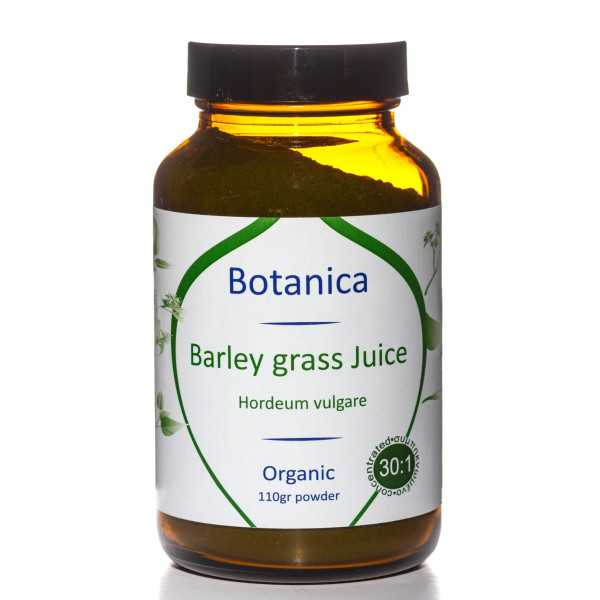 Βιολογικός Χύμος Κριθαρόχορτου Σκόνη | Barley juice powder organic 110gr | 30:1