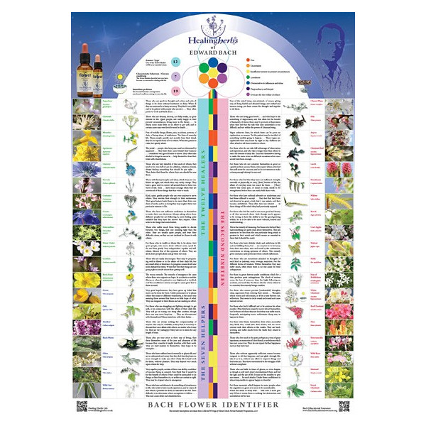 Poster in English