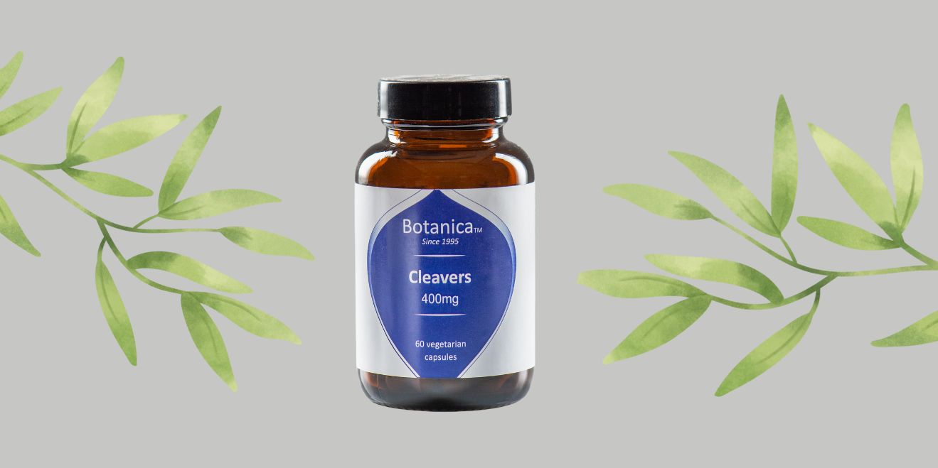 Γάλιο :Οφέλη και ιδιότητες για την υγεία